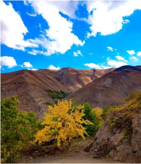 گردشگری